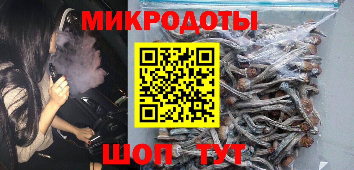 Псилоцибиновые грибы Psilocybine cubensis  Вход с VPN  Псилоцибиновые грибы мицелий  Сокол 